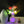 Lunafleur Nightlight