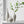 Aurrelian Norway Vase Collection