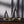 Nightingale Sailboat