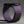 Equinox Apple Watch Band
