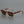 SunSheild Sunglasses