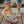 Shoreline Slides