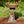 Cute Animal Woden Bird Feeder