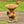 Cute Animal Woden Bird Feeder