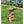 Cute Animal Woden Bird Feeder