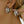 Solance Stacked Hoop Earrings