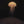 JellyCalm™ Jelly Fish Lamp