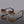 Torrelle octagon Sunglasses