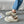 Cush & Co Platform Loafer
