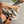 Laveen Ultra Comfort Orthopedic Sandals
