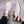 The Harriden Sneaker