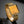 Zalvère Square Watch