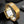 Zalvère Square Watch